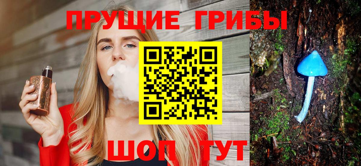 Псилоцибиновые грибы Psilocybe Ипатово